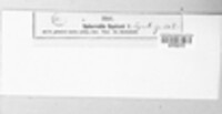 Mycosphaerella equiseti image